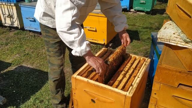 Нет расплода. Что делать?. Эксперимент Часть 1. смотреть онлайн