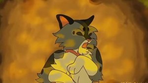 Топ 5 моих любимых Котов Воителей//Коты Воители//