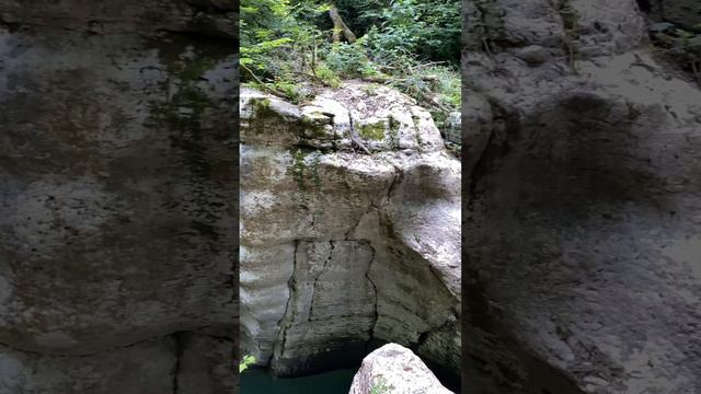 Каньон Белые Скалы #жизньвсочи #nature #сочи #travel #каньон #лес #река смотреть онлайн