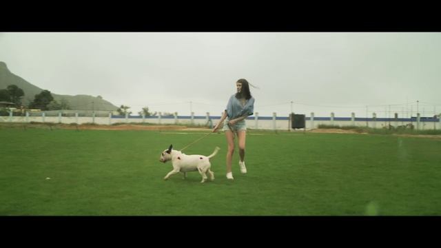 bulterer_trailer_1280.mp4 смотреть онлайн