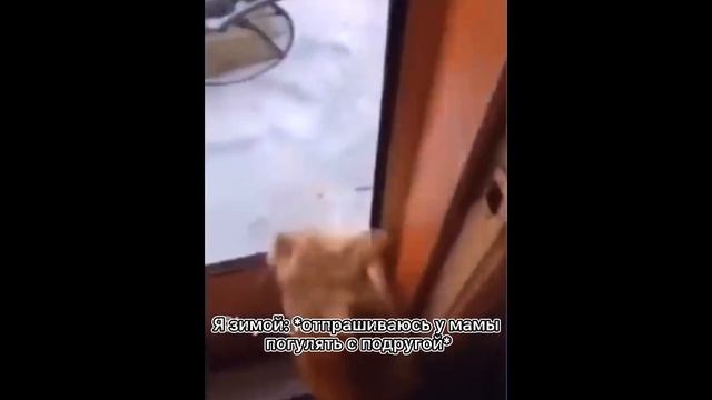 Когда отпрашиваешься погулять с подругой зимой... смотреть онлайн