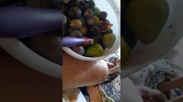 сушка инжира