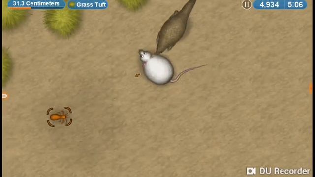 Я большая мышь смотреть онлайн