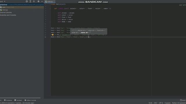 Pet animal Classification in python смотреть онлайн