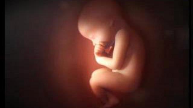 Superbe emotion смотреть онлайн