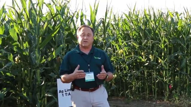 Plant Tuff 3 in 1 Silicon Fertlizer смотреть онлайн