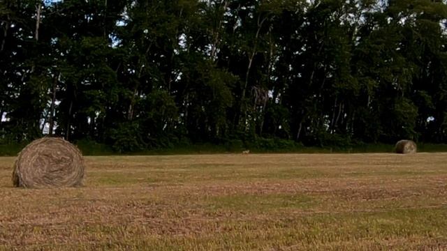 Река " Кия"! Устье реки "Кундат"! (часть 1) смотреть онлайн