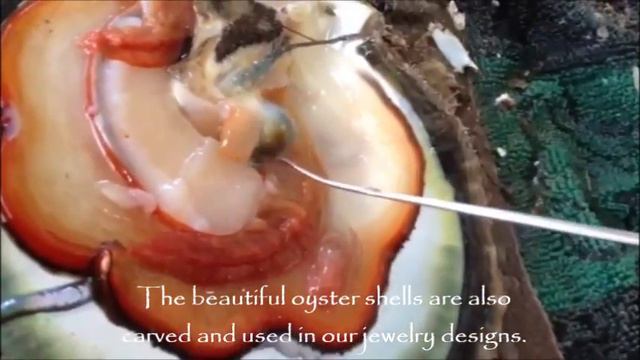 Pearl Farming in Vietnam with Chi of Galatea смотреть онлайн