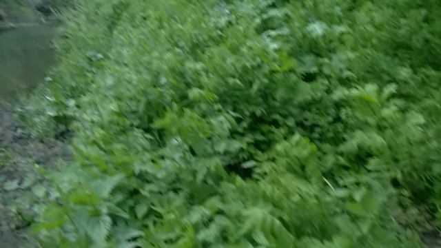 Рыбалка на небольшой таёжной речке #338 смотреть онлайн