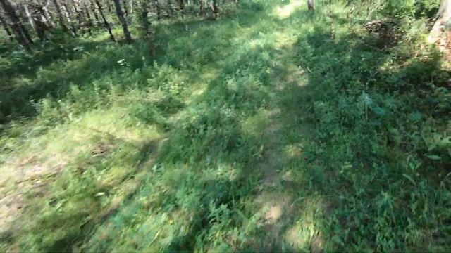 Сбор земляники 2019 смотреть онлайн