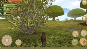 Симулятор белки - Первый Взгляд - Squirrel Simulator 2