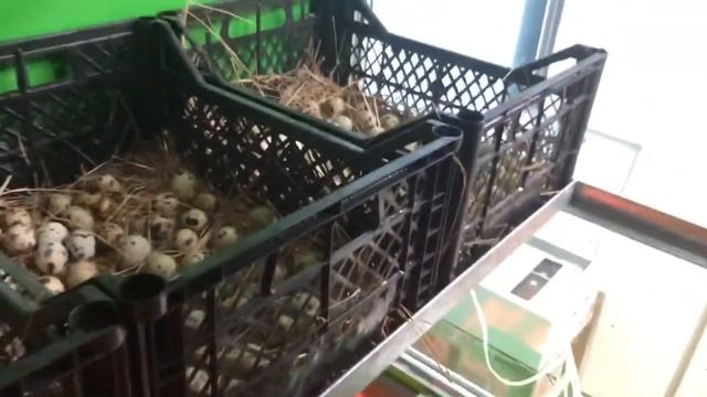 Выводной шкаф( как он сделан) смотреть онлайн