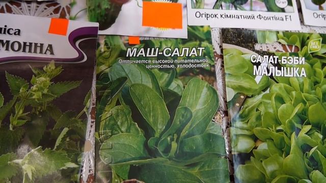 Строительный Расколбас