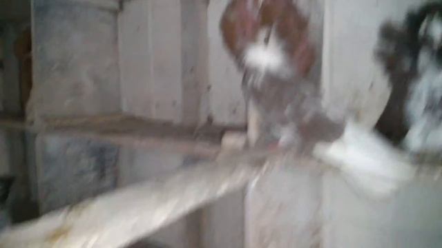 Голуби Якобіни смотреть онлайн