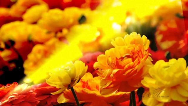 Луч света смотреть онлайн