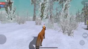 Есть ли секретный босс на локации зимний лес? WildCraft | Симулятор животных Вилд крафт