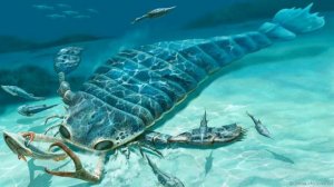 Ракоскорпионы могли дышать на суше?