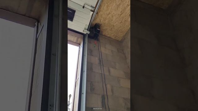 ворота смотреть онлайн