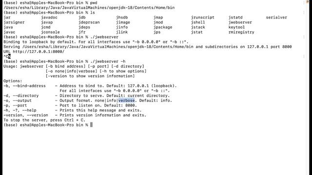 Java18 Simple Web Server Tutorial with Demonstration | Java Features смотреть онлайн