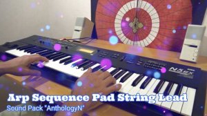 KORG N5EX/N5 Sound Pack «Anthology N» 100 Presets