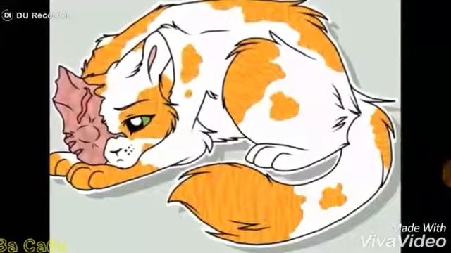 Коты-Воители: Белохвост и Яролика (Заказ канала - канал друзей) смотреть онлайн