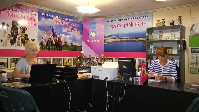 Выставка собак смотреть онлайн