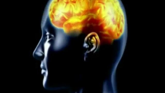 Интеллектуальный Фитнес смотреть онлайн