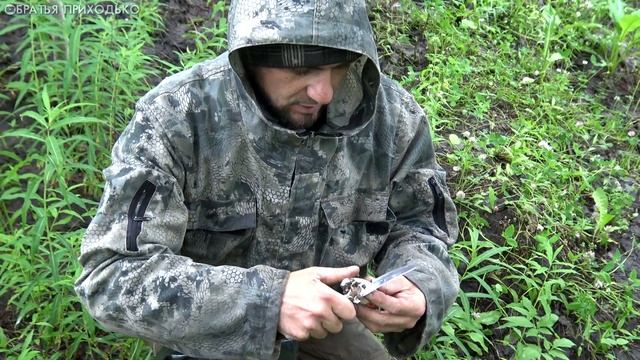 ПЯТЬ ВИДОВ ГРИБОВ ИЗ ЛЕСА НА ТАРЕЛКУ смотреть онлайн
