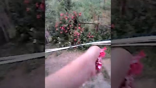 Розовый лепесток смотреть онлайн