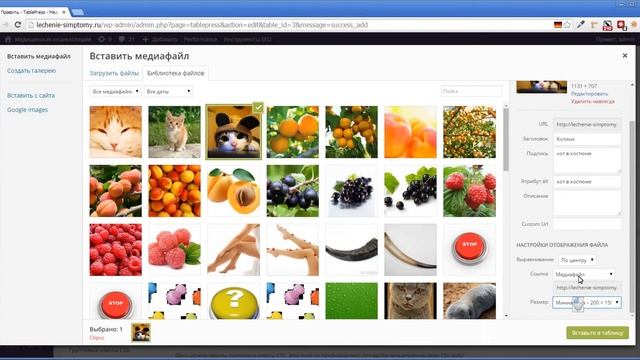 6. Добавление таблицы в запись средствами TablePress смотреть онлайн