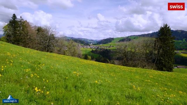 ???? Appenzell the Most Beautiful Place in Switzerland | #swiss #swissview смотреть онлайн
