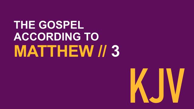 Matthew 3 KJV // Human Reader // John the Baptist, Jesus' Baptism, Appearance of the Trinity смотреть онлайн