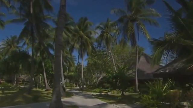 пальмы 4 смотреть онлайн