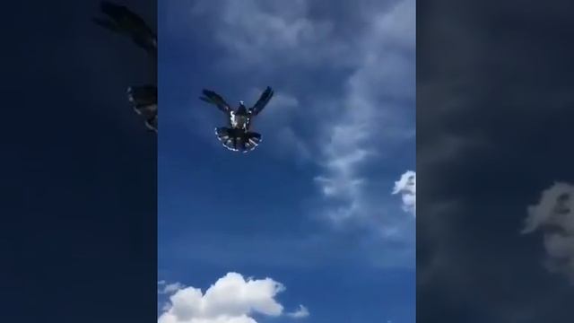 самый лучший голуби мира смотреть онлайн