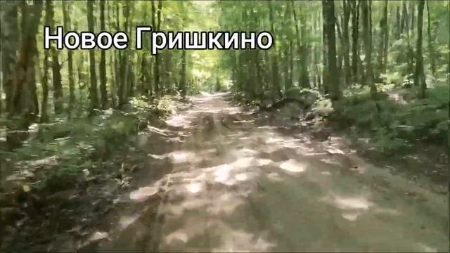 Ловля в Камышах