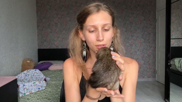 Воняют ли крысы? ? смотреть онлайн