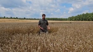 САМОЕ ЧЕСТНОЕ ВИДЕО. Сколько зарабатывают фермеры. Что нужно знать начинающему фермеру