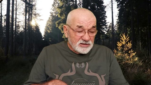 Воспитание щенка лайки для охоты Западно-сибирская лайка.mp4 смотреть онлайн