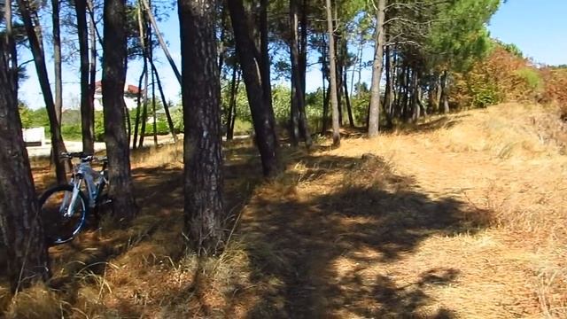 Ракитника 23 9 2016 HD смотреть онлайн