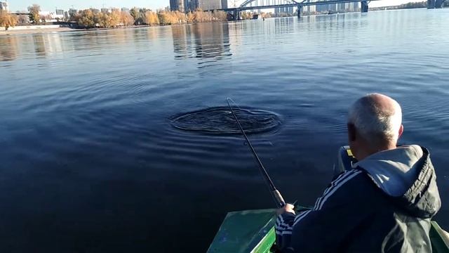 Как поймать Жереха осенью!? Снасть на Жереха и Окуня. смотреть онлайн