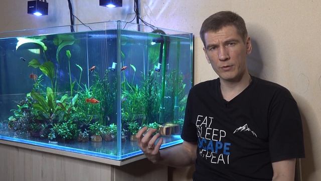 Почему не растут растения в аквариуме смотреть онлайн