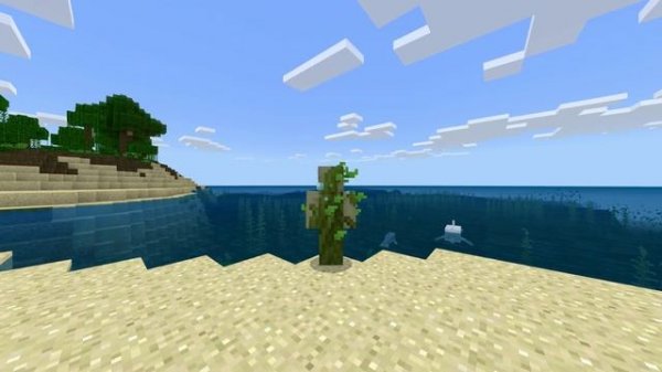 Minecraft Coral Crafters Skin Pack Review (Java/Xbox One/Pocket Edition)