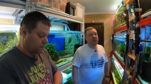 Великолепные трофеусы Павла г.Челябинск