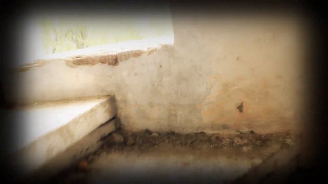 Заброшенный корпус лагеря смотреть онлайн