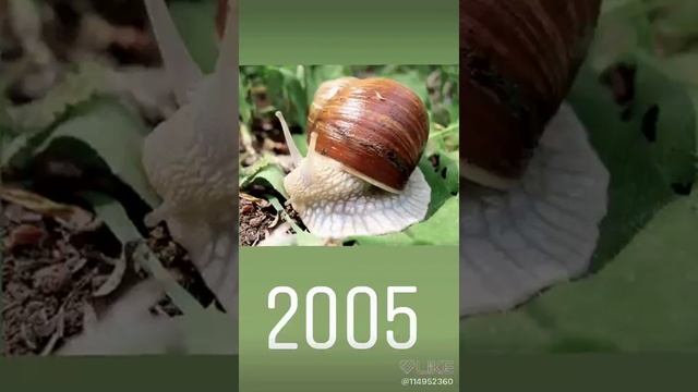 Какое ты животное по году рождение!? смотреть онлайн