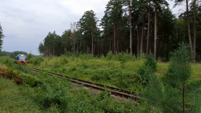 Дизель-поезд РА3 на маршруте Голутвин - Озеры