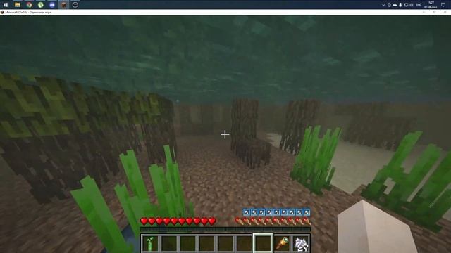 Мангровый биом в Майнкрафт 1.19 смотреть онлайн