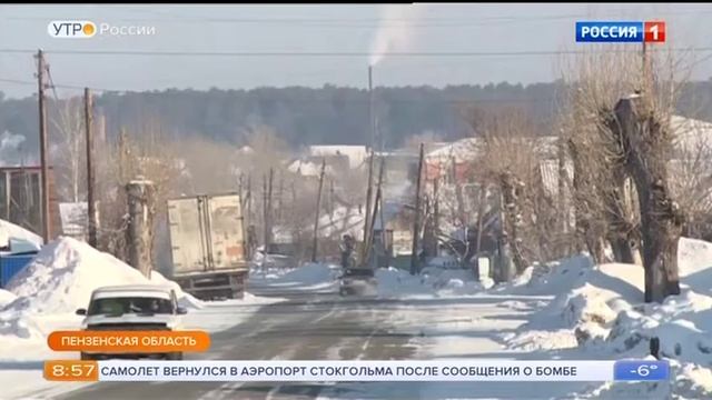 Как собрать дрова, и не попасть на штраф. Закон о сборе валежника. смотреть онлайн