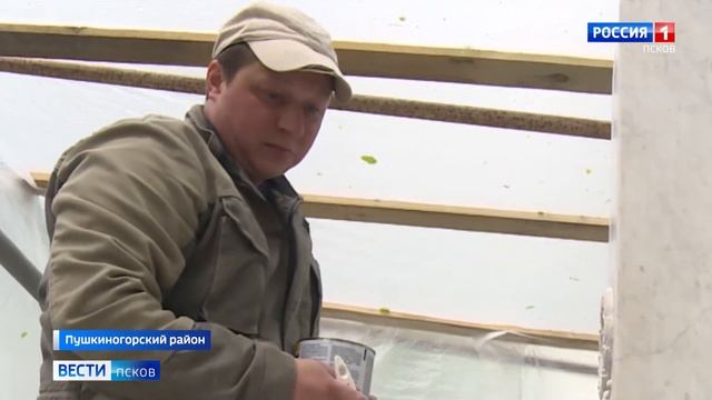 Завершается реставрация могилы Пушкина смотреть онлайн