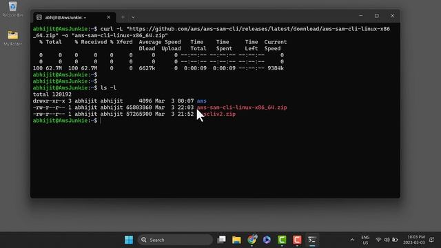 Download and Install AWS SAM CLI on Linux | Ubuntu | WSL смотреть онлайн